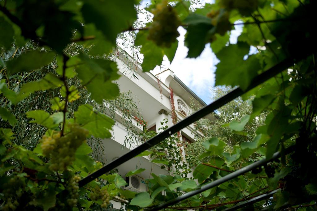 Guest House Barbov Obzor Exterior foto