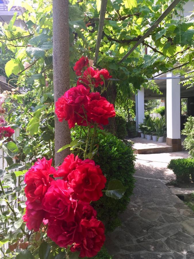 Guest House Barbov Obzor Exterior foto